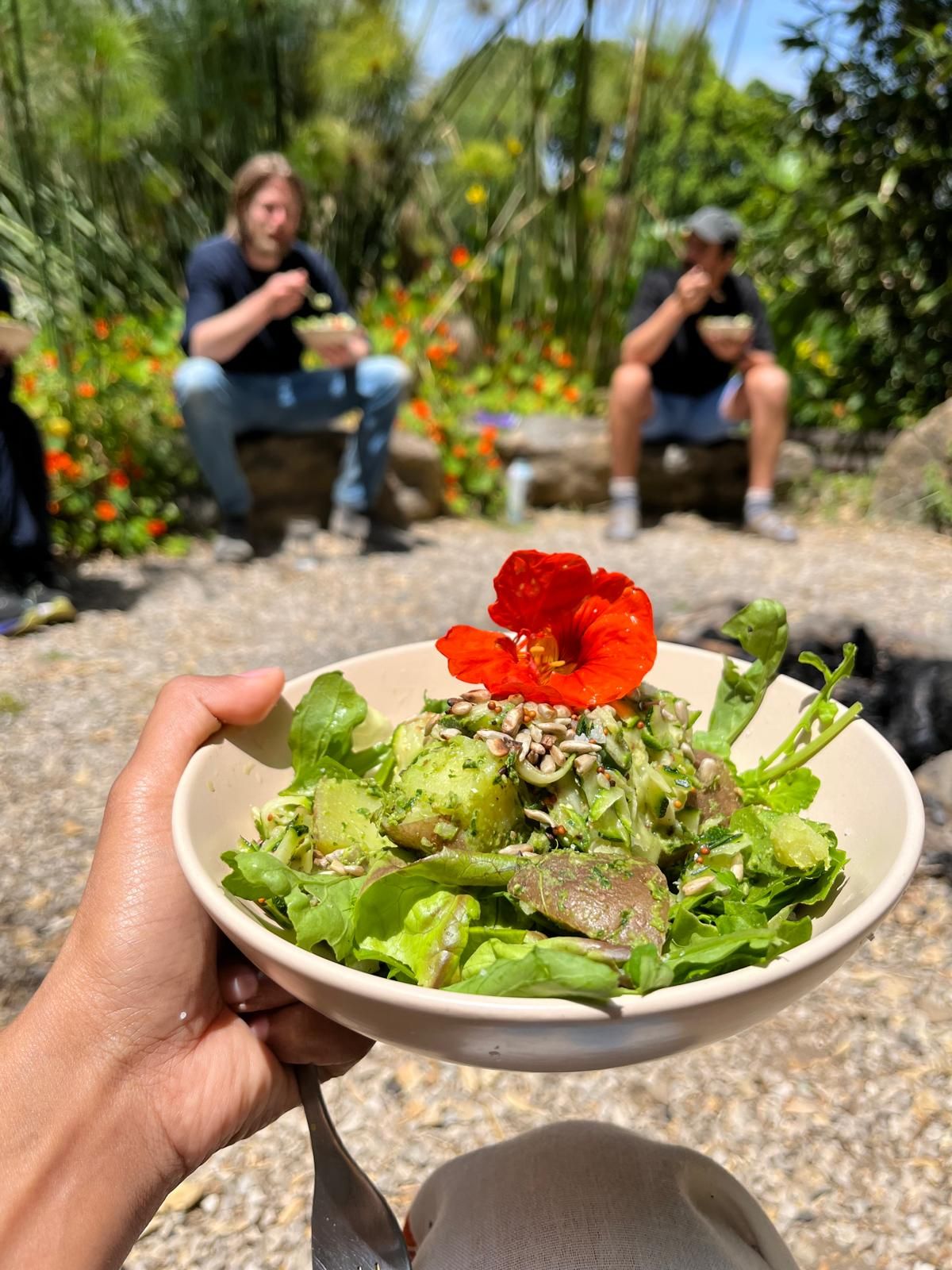 A fresh meal from the garden