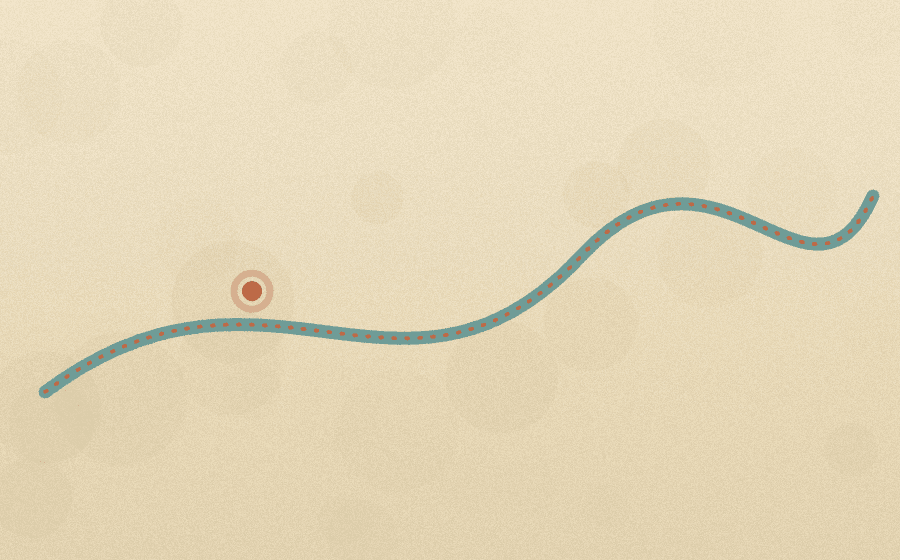 Map of the Narmada Parikrama route circling the river