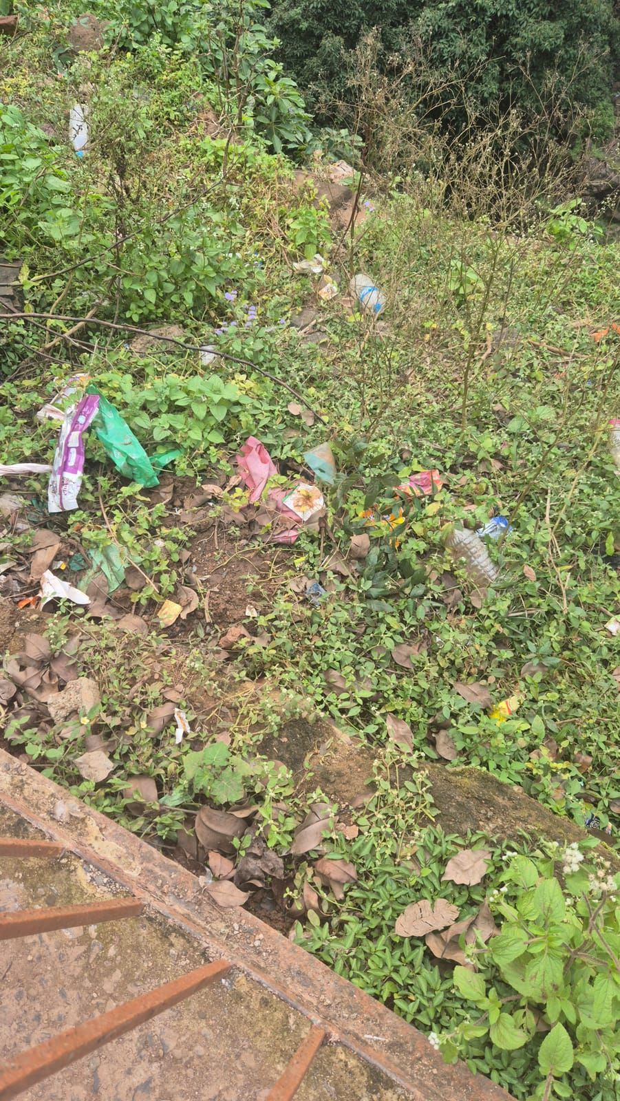 Plastic bags, wrappers and bottles among the plants and dead leaves on a slope