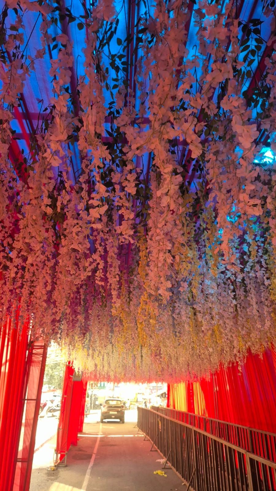 The same kind of flower tunnel from inside, with pink and blue light shining through the hanging flowers and a car on the street at the far end